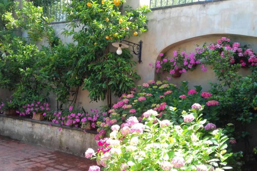 Apartment In Luxuryproperty Privatepool Garden Bbq Airc X8 Castelnuovo Di Porto Exterior foto
