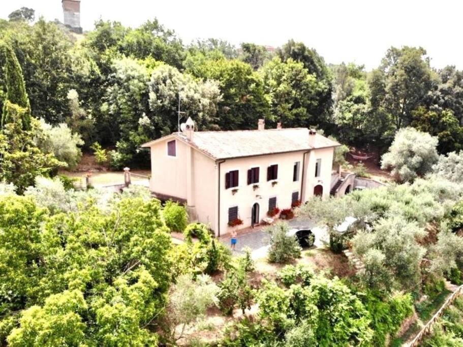 Apartment In Luxuryproperty Privatepool Garden Bbq Airc X8 Castelnuovo Di Porto Exterior foto